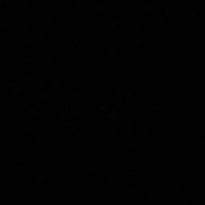 Meet your Posher, Luis